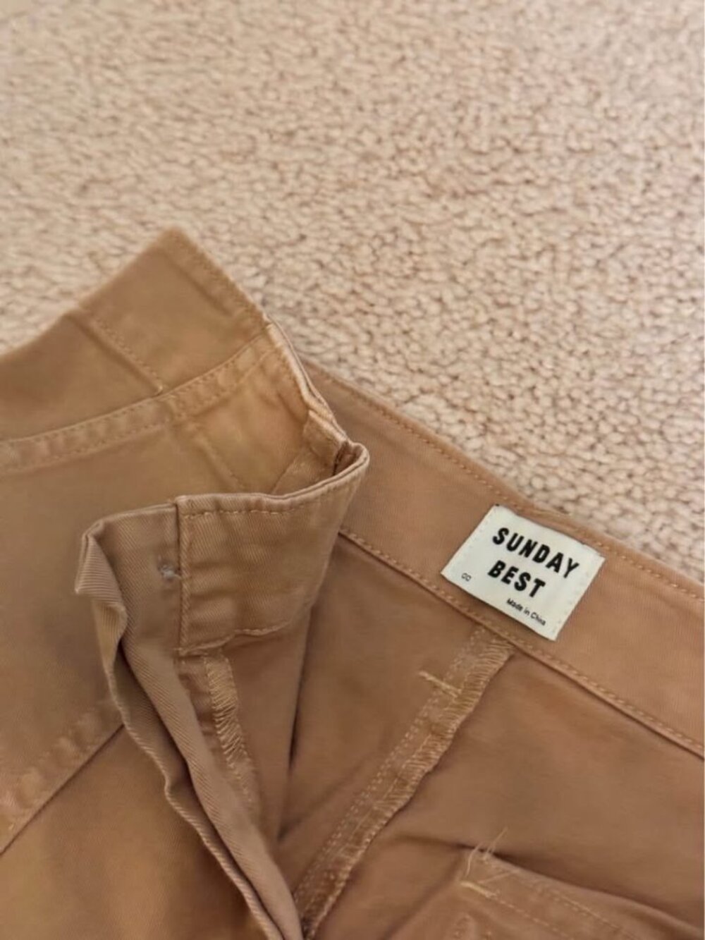 Aritzia Sunday Best Cargo Pants (Size 00)